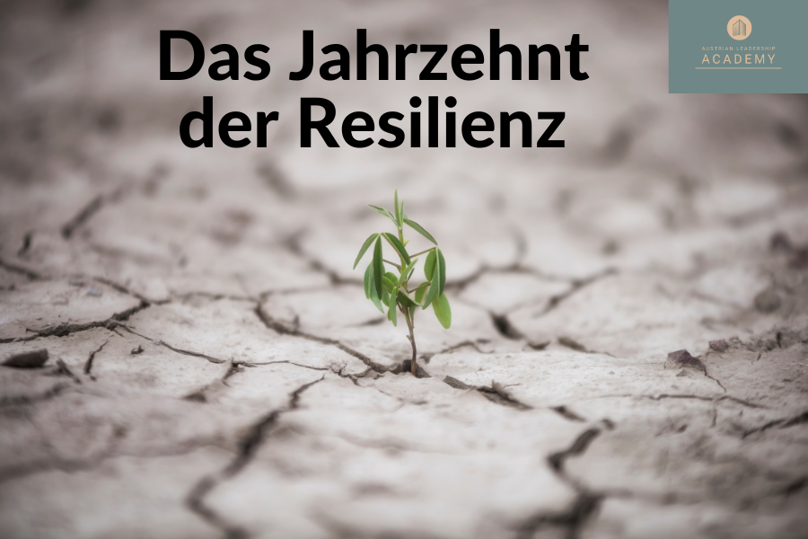 Das Jahrzehnt der Resilienz: diese 9 Punkte müssen Organisationen jetzt im Blick haben